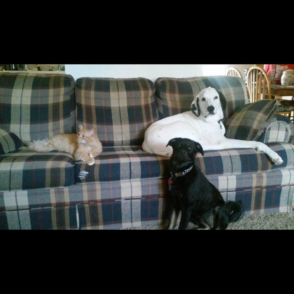 Meet your Posher, Cassie